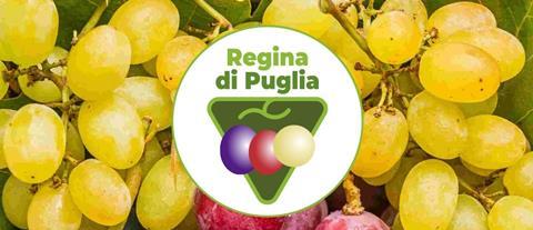 Regina di Puglia