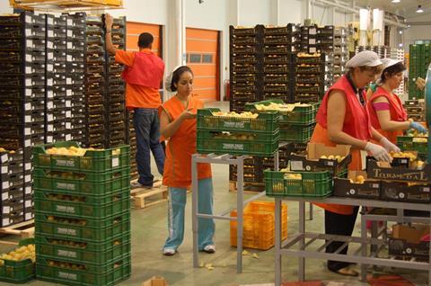 Spanien: 9,8 Mio t Obst und Gemüse exportiert