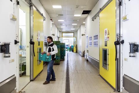 Mann, der mit einer Kiste in einen Kühlraum läuft