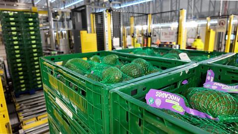 Avocados Aldi Bardon distribution centre