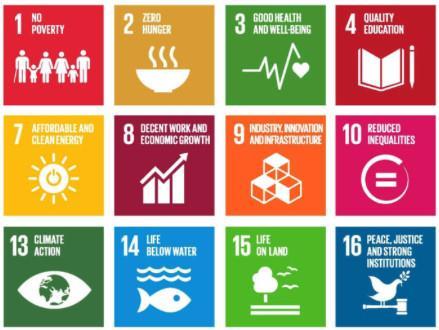 SDGs