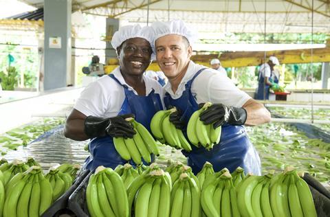 Colombian banana workers