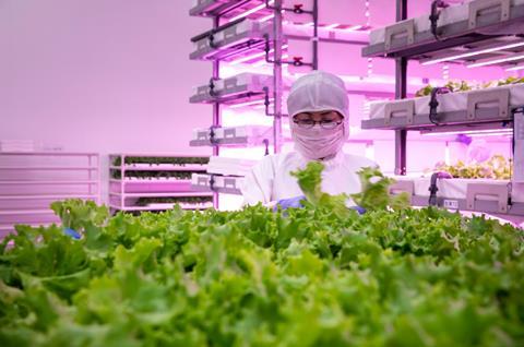 The event explores trends in the fast-growing leafy hydroponics market