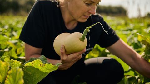 Butternut