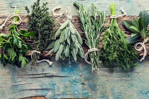 The conference will discuss all things herbs