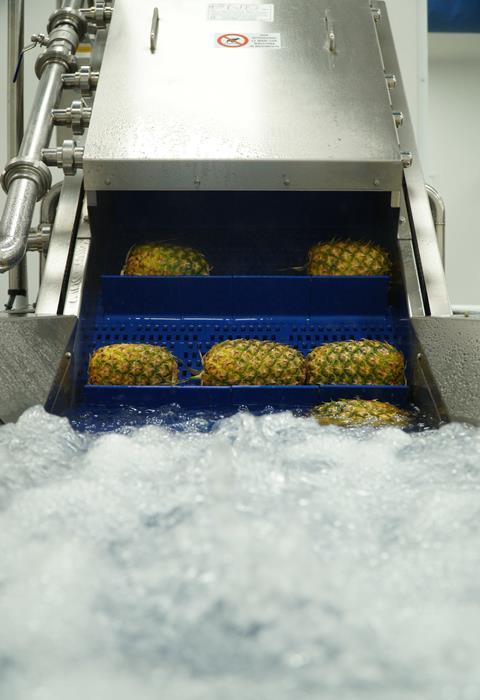 Pineapples washing Fruttital