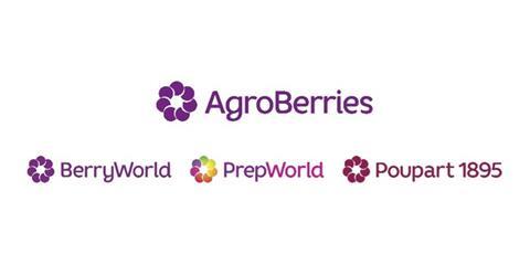 The new AgroBerries logo has adopted BerryWorld's design