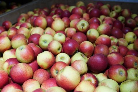 Äpfel: Deutschland wird Millionengrenze wohl knapp verfehlen