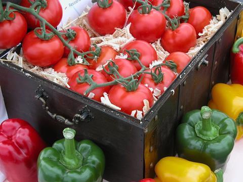 Almería: Bisher rentable Tomaten- und Paprikasaison