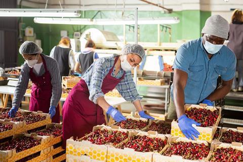 Chilean cherries boun for China