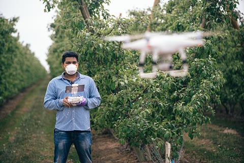 Innov8 ag drone orchard