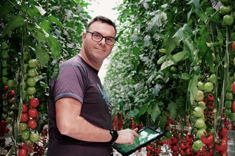 Greenhouse tomato grower