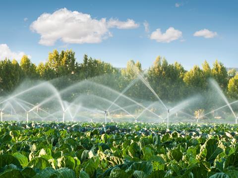 Vegetable farm irrigation