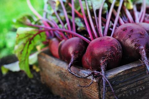 Less than 30 per cent of the children surveyed could identify beetroot