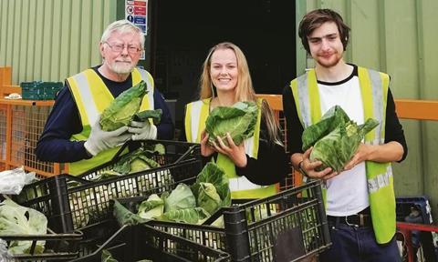 Surplus for Purpose redistributes unsold but good-to-eat surplus produce from farms