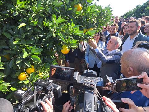 PGI Valencian Citrus