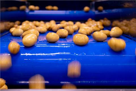 Naturitalia line processing potatoes Patfrut