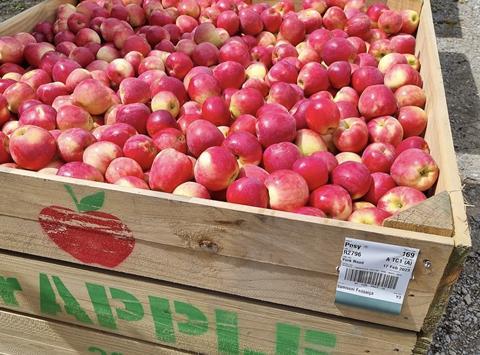 Mr Apple Posy apples