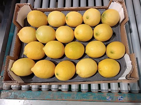 Silkroad lemons
