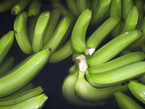 Bio-Bananen