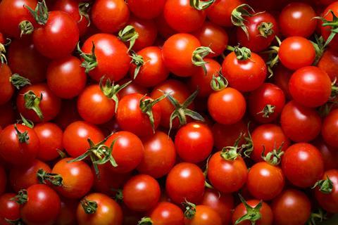 The British tomato season officially started this week