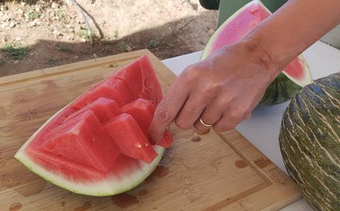 Spanish watermelon