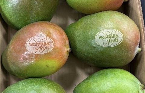 Westfalia laser etched mangoes