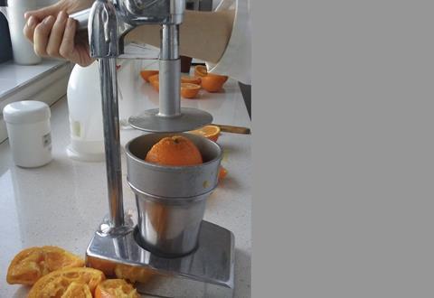 Cítricos Valencianos PGI