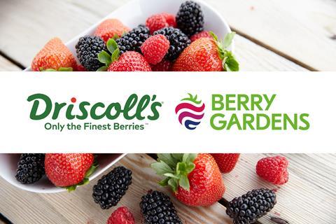 The two companies have a long-standing relationship, with Berry Gardens marketing Driscoll's varieties in Britain for more than 20 years