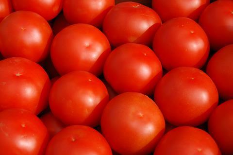 Tomaten_Spanien_-_W._Schmidt_1_04.JPG