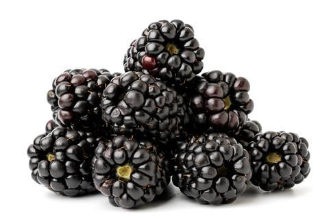 Blackberries Adobe Stock