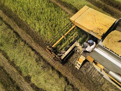 Sustainable agriculture