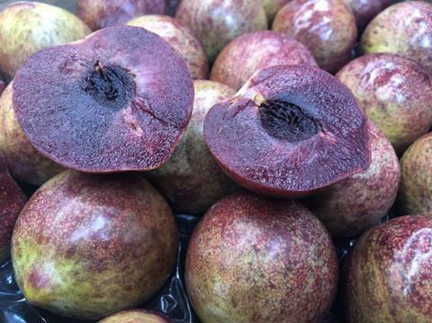 Frankreich/Spanien/Protugal: Erste Ernte der neuen Pflaumensorte „Lovita“ im September