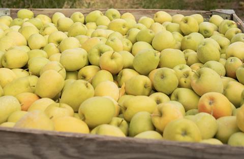 Lemonade apples Giumarra