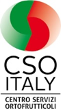 logo_cso_italy.png