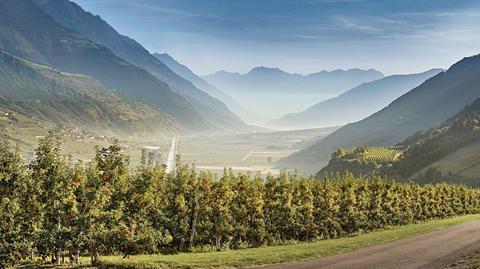 A landscape in Venosta Valley