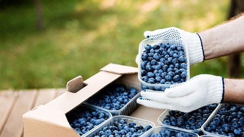 blaubeeren lufthansa cargo