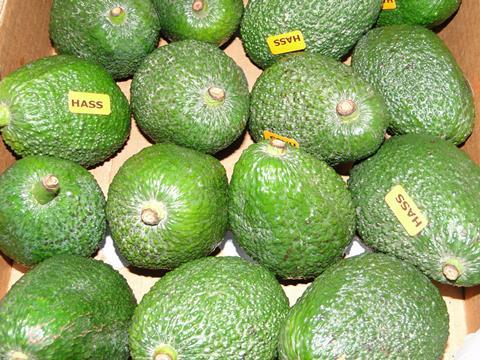 Avocados_Peru__1__03.JPG