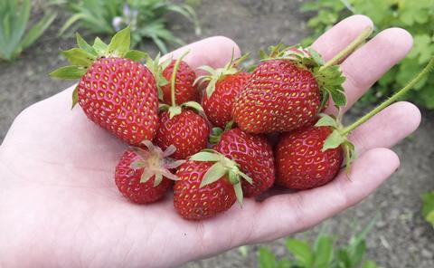 Screenshot 2025-11-17 at 11.53.22