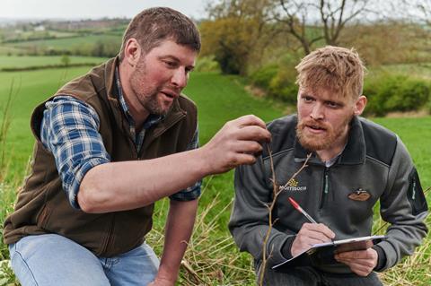 Morrisons' new ‘Tree Advisors’ will give specialist advice to UK farmers on the best species of trees to plant