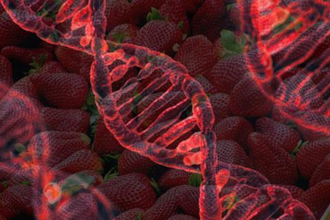 strawberry genome