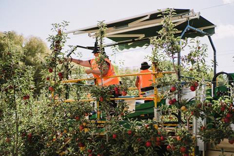 T&G Hawkes Bay apple orchard New Zealand