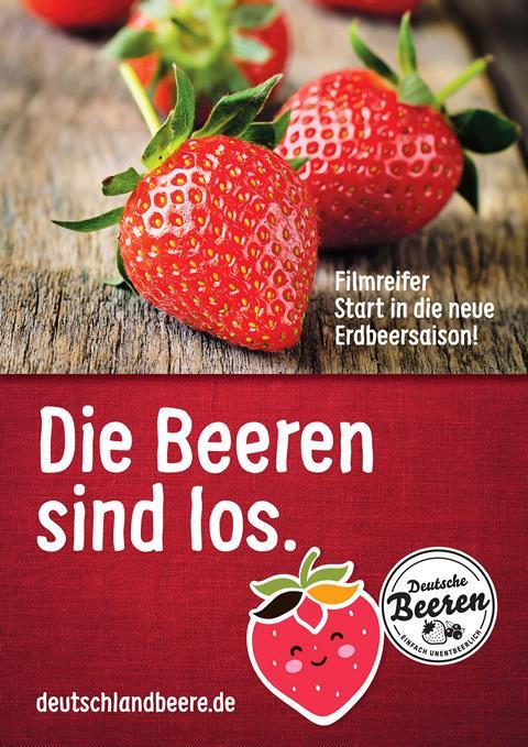 erdbeeren - netzwerk