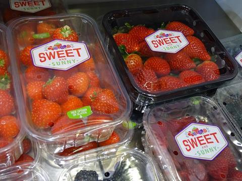 The Greenery: Start der Importsaison für „Sweet and Sunny“-Erdbeeren