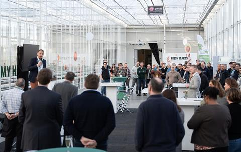 Hazera Made tomato greenhouse launch 2024