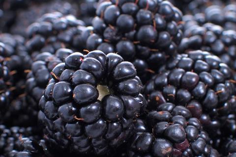 A blackberry farm was among the recipients