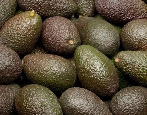 Avocado_Natures_Pride__1__06.jpg