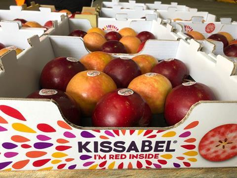 Kissabel apples are grown in five continents