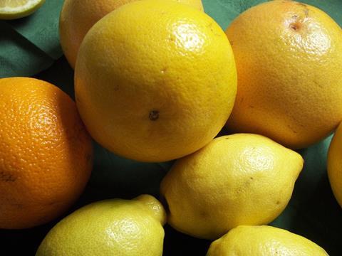 Spanien: Wissenschaftler entwickeln Kunststoff aus Citrusfrüchten