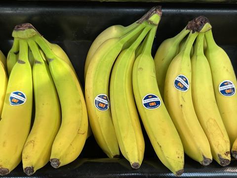 SCB Premium Compagnie Fruitiere bananas